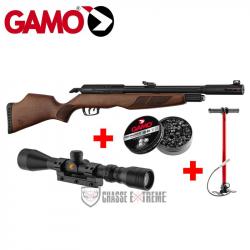 Pack GAMO Riser Punisher 40J Cal 5,5 mm+ Lunette 3-9x40 WR+ Pompe PCP Flex Arrow+ 250 Plombs Pro Mag