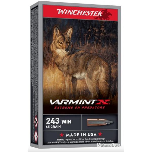 Munitions WINCHESTER varmint X cal.243win 65gr 4.2g par 20