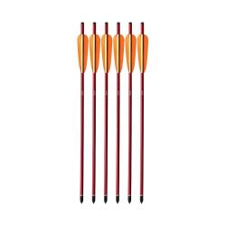 Lot de 6 flèches en aluminium 20" EK Archery pour arbalètes