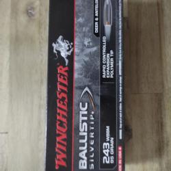 Munitions 243wssm winchester