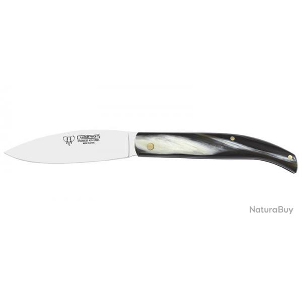 Couteaux pliants C418A Cudeman