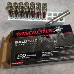 balles 300 wm WINCHESTER Ballistic Silvertip