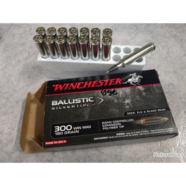balles 300 wm WINCHESTER Ballistic Silvertip