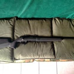 springfield 2020 22lr