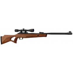 Pack Carabine à air comprimé Beeman modèle 10620 Calibre 4.5mm 20 Joules
