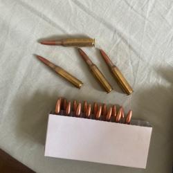 Munitions carcano 6.5x52