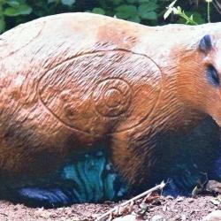 Blason 2D Ital Espanso Marmotte