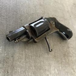 Revolver velodog