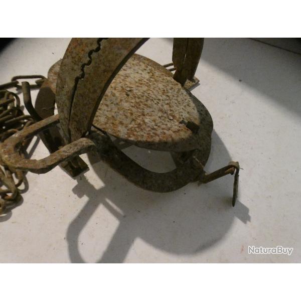 1 pige  machoires mtalliques crantes avec dents