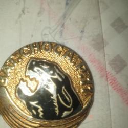 Insigne régimentaire métallique  A25.3