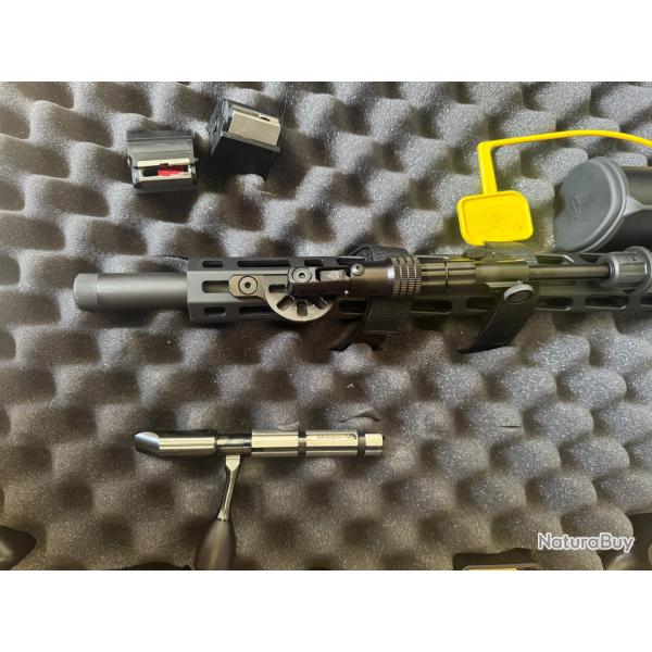 Fusil RUGER precision rifle