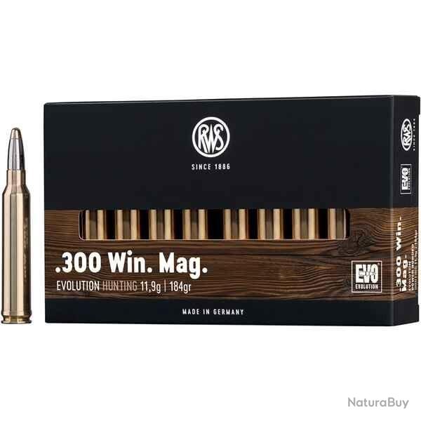 Munitions RWS 300 Win. Mag. EVO 11.9g 184gr x2 boites