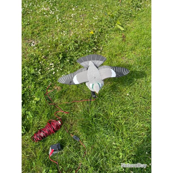 Pigeon lectrique ailes battantes
