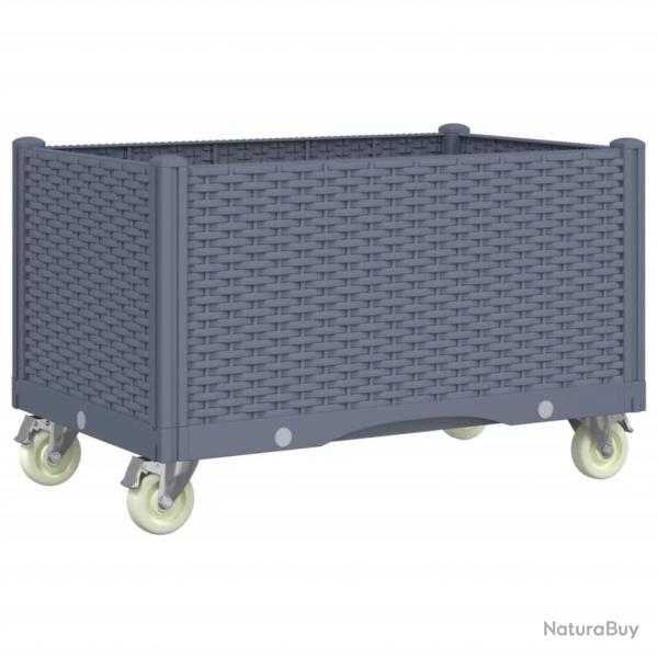 Jardinire bac lit surlev plantes fleurs terrasse jardin  roulettes 80 x 50 x 54 cm PP gris 02_0
