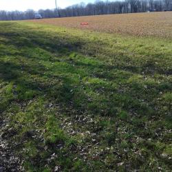 Action de chasse massif de Rumilly les Vaudes Aube Chaource