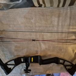 Arc a poulie ek archery