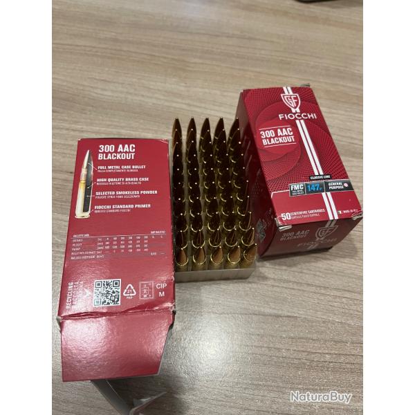 Munition 300 aac blackout