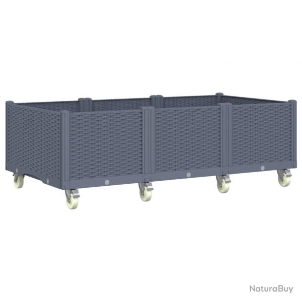 Jardinire bac lit surlev plantes fleurs terrasse jardin  roulettes 150 x 80 x 54 cm PP gris 02_