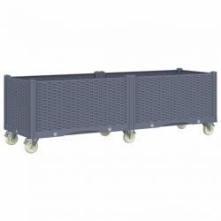 Jardinière bac lit surélevé plantes fleurs terrasse jardin à roulettes 160 x 50 x 54 cm PP gris 02_