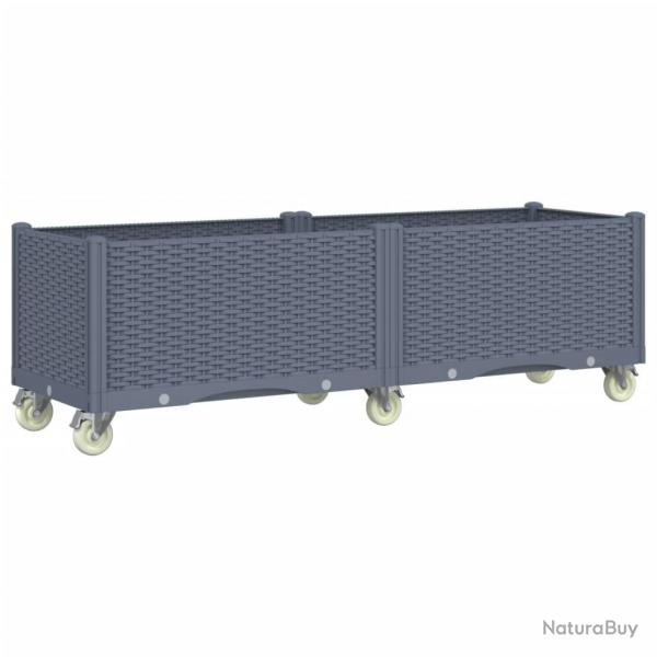 Jardinire bac lit surlev plantes fleurs terrasse jardin  roulettes 160 x 50 x 54 cm PP gris 02_