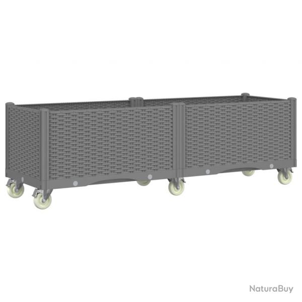Jardinire bac lit surlev plantes fleurs terrasse jardin  roulettes clair 160 x 50 x 54 cm PP gr