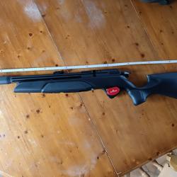 Gamo Arrow + 3 chargeurs + verrou de pontet