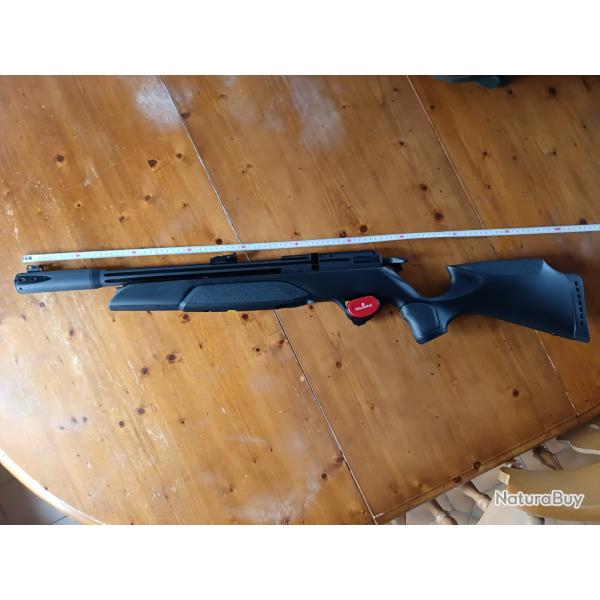 Gamo Arrow + 3 chargeurs + verrou de pontet