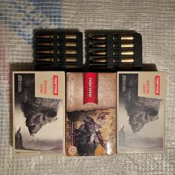 Munitions Norma 300 Win Mag cause arrêt activité chasse
