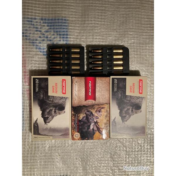 Munitions Norma 300 Win Mag cause arrt activit chasse