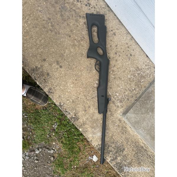 Carabine  plombs  gamo