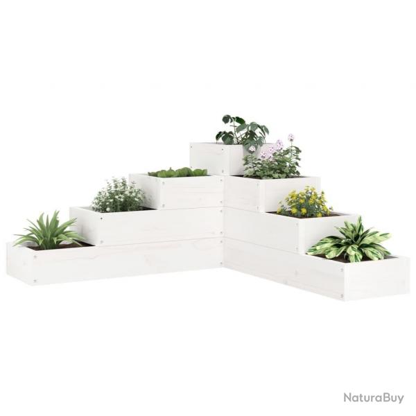 Jardinire 4 niveaux 80,5x79x36 cm blanc bois de pin massif