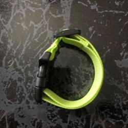Collier chien