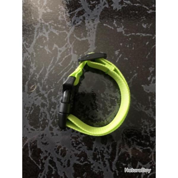 Collier chien