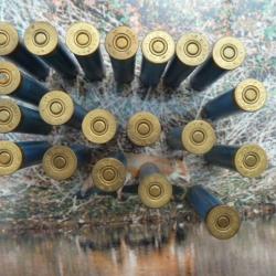 rechargement munitions lisses . autres calibre calibre 24