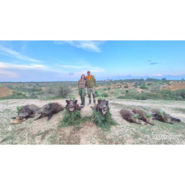 La chasse du sanglier en Tunisie avec l'association Un Monde de Chasse