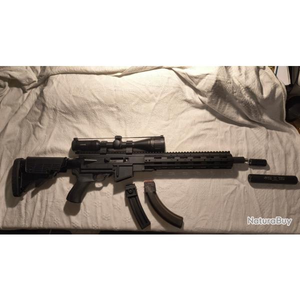 Carabine RUGER 10/22  canon lourd filet
