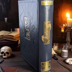 Sorciers Magiciens et Enchanteurs de nos Terroirs par Ertle ed Jean de Bonnot esoterisme sorcellerie
