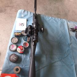 Carabine Gamo Whisper IGT maxxim 19.9 joules en lot.