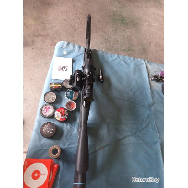 Carabine Gamo Whisper IGT maxxim 19.9 joules en lot.