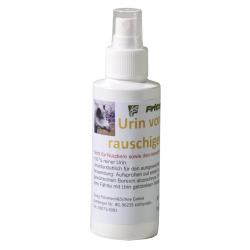 Urine de laie en chaleur