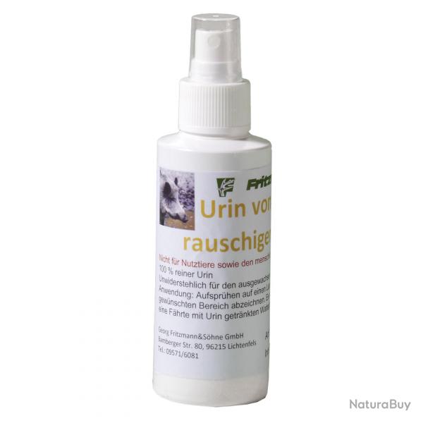 Urine de laie en chaleur