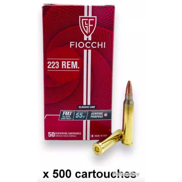 FIOCCHI cal.223 Rem FMJ 55gr /500