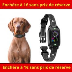 Enchère à 1 sans prix de réserve - Collier de dressage pour chien - Sans blessures - Anti aboiement