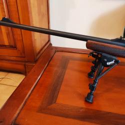 CARABINE ATA arme  308 (jamais tirée)