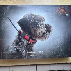 Collier gps sportdog d'occasion