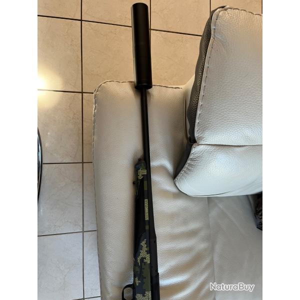 Canon blaser r8 en 243w sans organes d'origine plus mds hausken jd224 et lot de balles