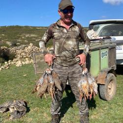 Chasse à la Perdrix Rouge en Espagne