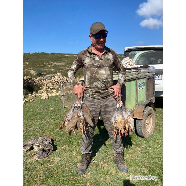 Chasse  la Perdrix Rouge en Espagne