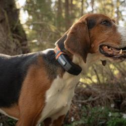 Collier GPS Tracker LUNA
