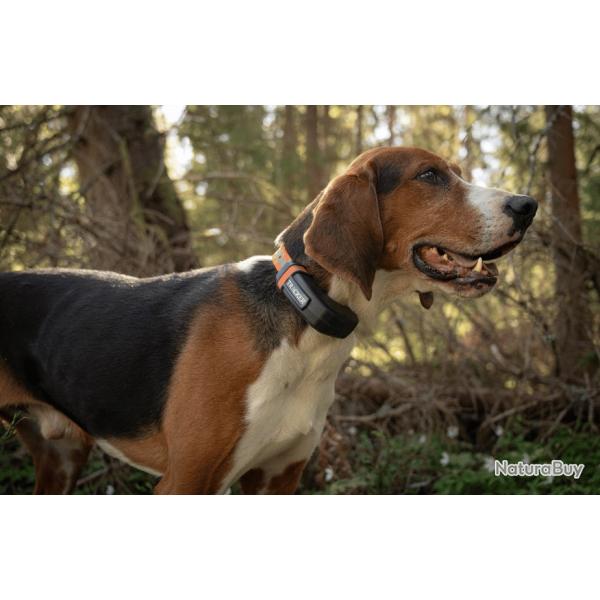 Collier GPS Tracker LUNA
